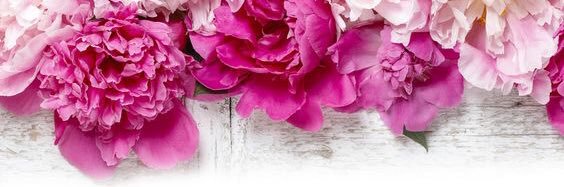 xtinedanielle's profile banner image
