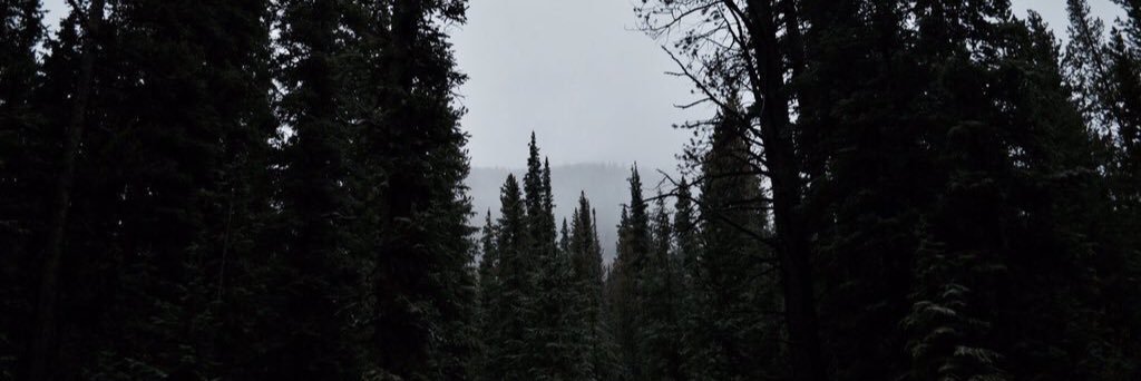 drewSLMN's profile banner image