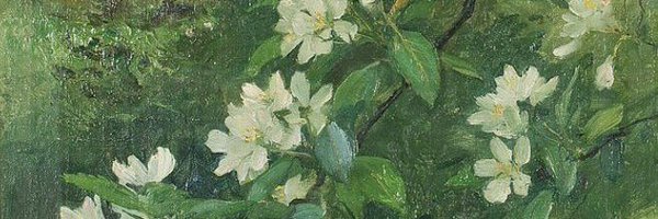 naginisvenom Profile Banner