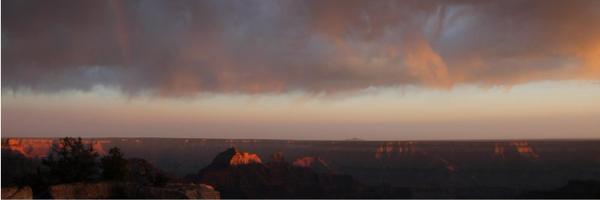 VatePowell Profile Banner