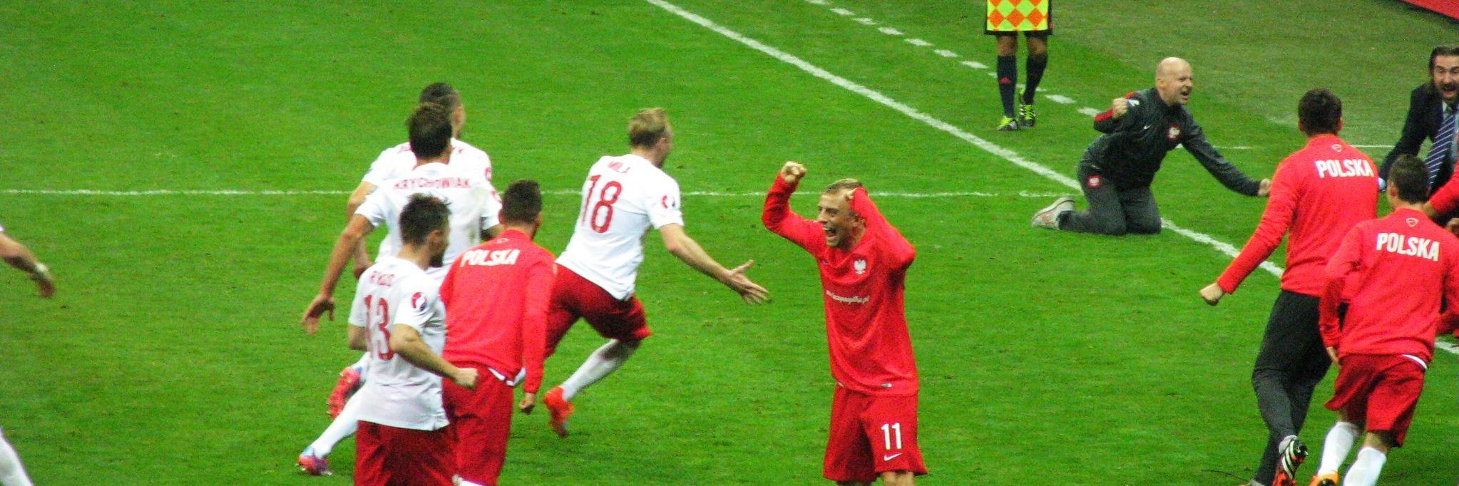 Bartosz Nosal banner