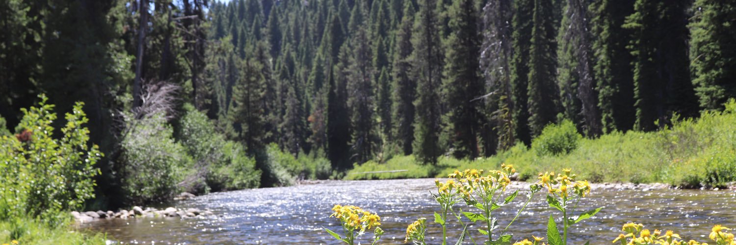 Jennifer Verdon banner