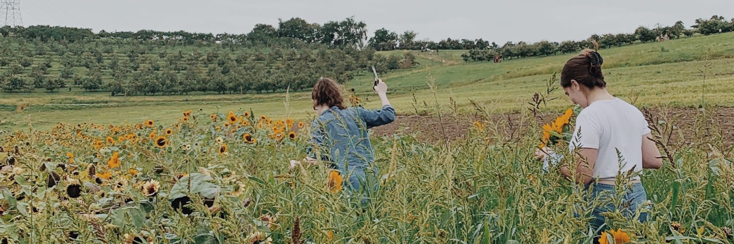 caredecoursey's profile banner image