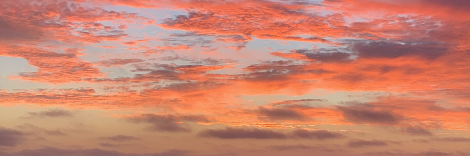 Sharon Cerrell Levy banner