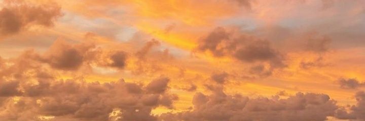 xtommoshake's profile banner image