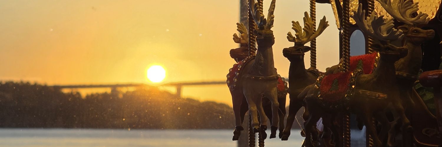 ddong1416's profile banner image
