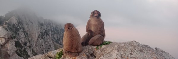 GibMacProj Profile Banner