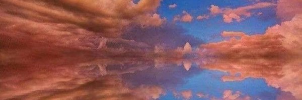 beesblaas47 Profile Banner