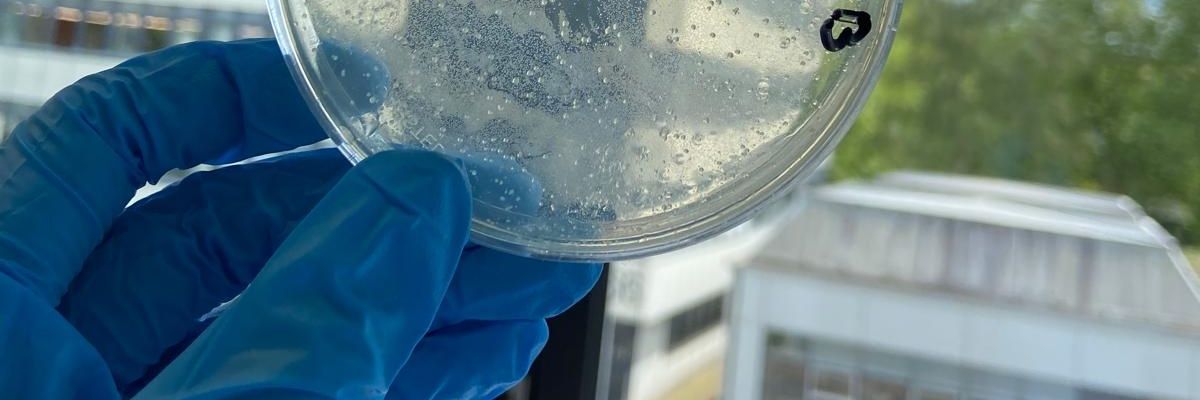 Der Örtliche Virologe banner