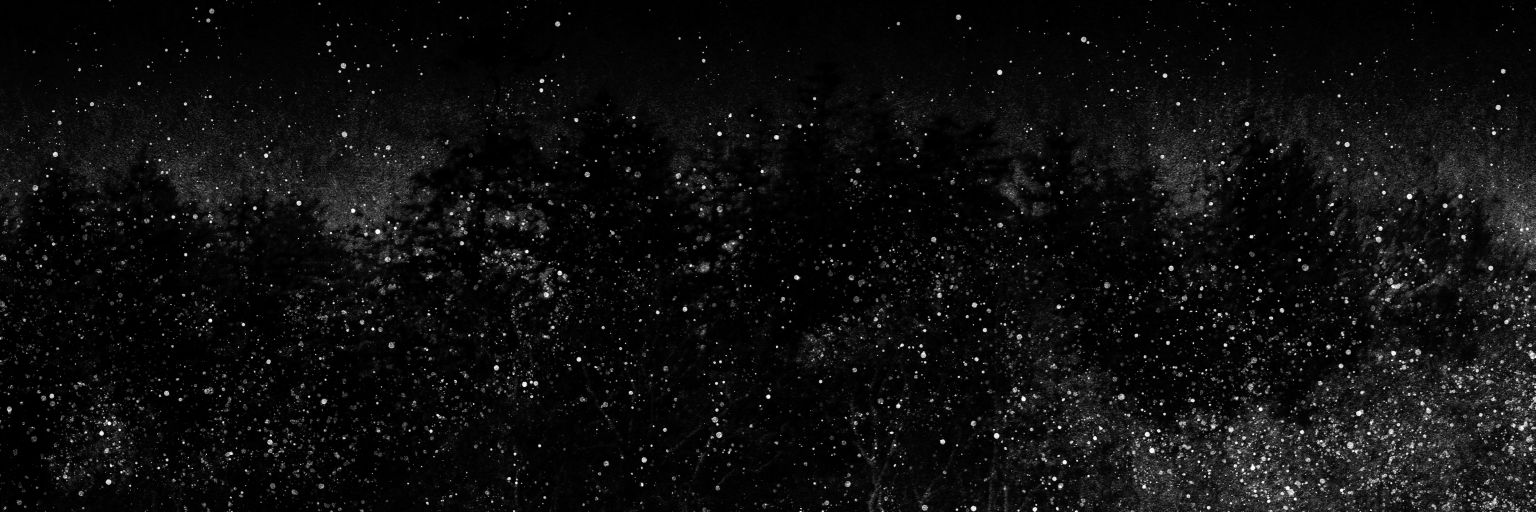 7디페 토 R25 | 십리's banner