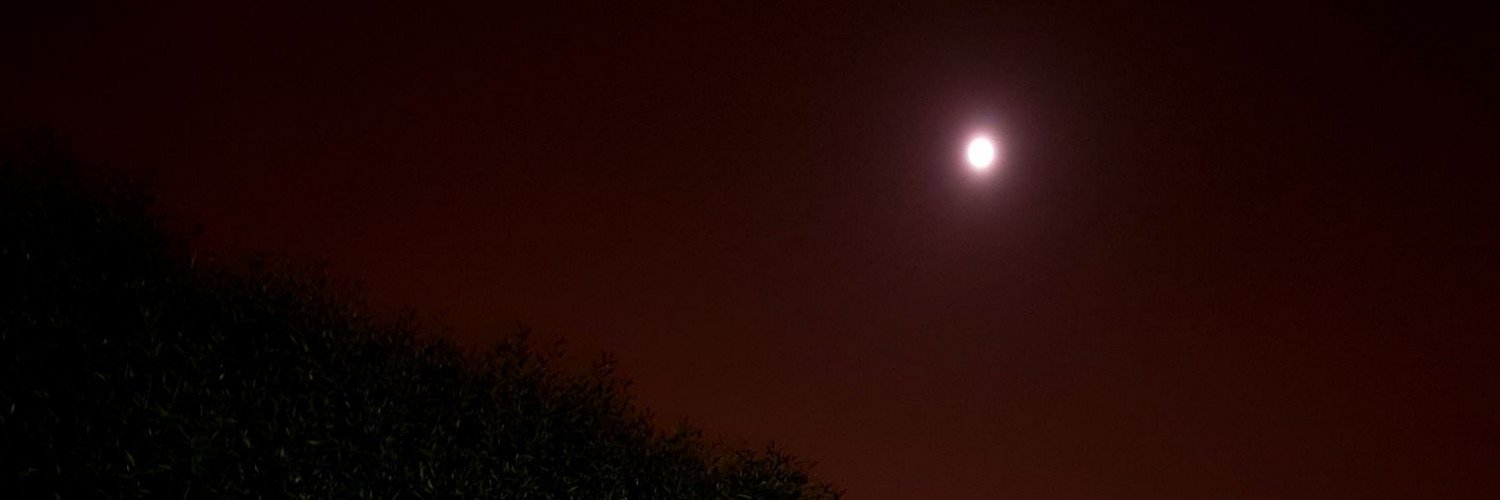 AliHH184's profile banner image