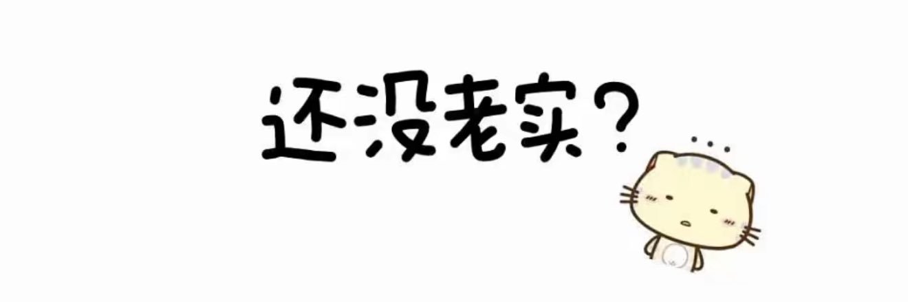 Web3第一深情（打狗反被教育版）