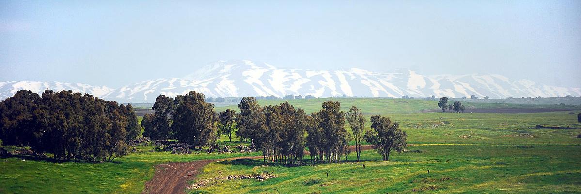 Shahryar Pasandideh's banner