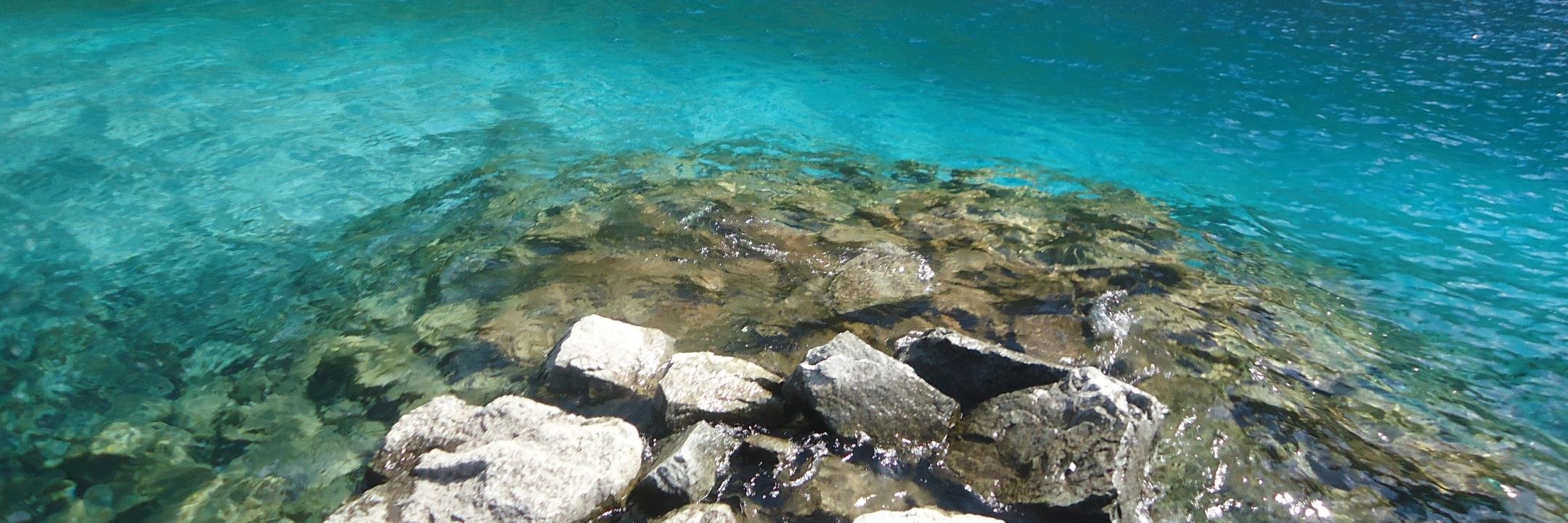 NOELIADILASCIO's profile banner image