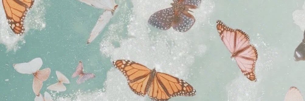 𝐔𝐓𝐂 𝐏𝐚𝐧𝐡𝐞𝐥𝐥𝐞𝐧𝐢𝐜 banner