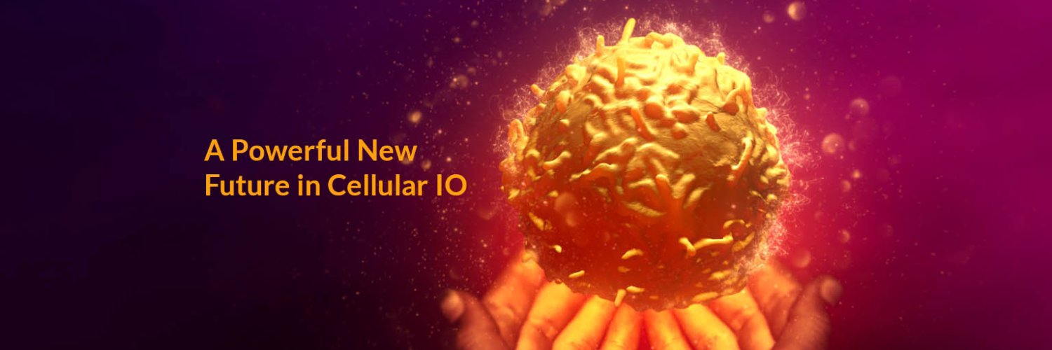 BellicumPharma's profile banner image