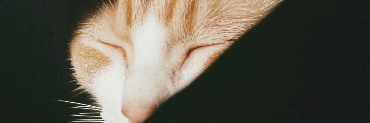 💐ur famous ur fav bitch🎀's banner