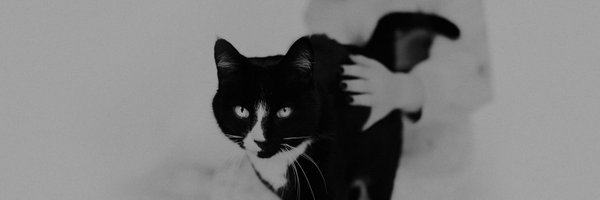 JessicaLairmore Profile Banner