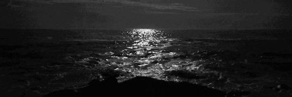 Lowy_fn Profile Banner