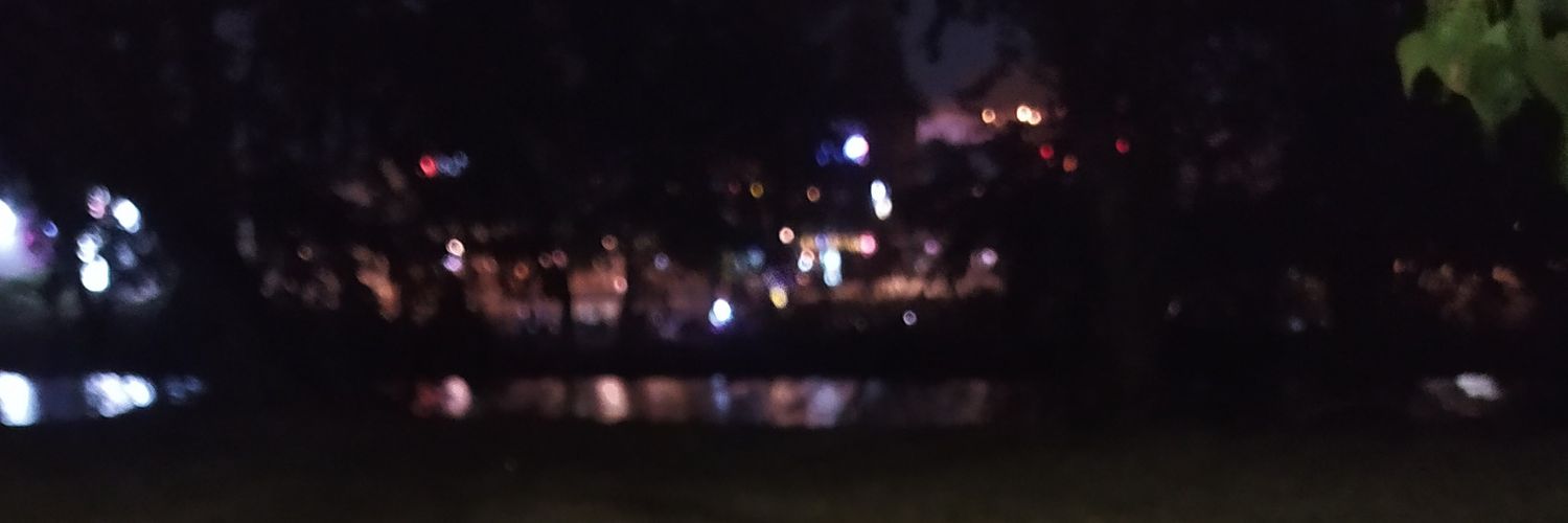 micheldeltoro's profile banner image