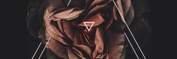 burettss Profile Banner