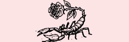 Lavaal_'s profile banner image