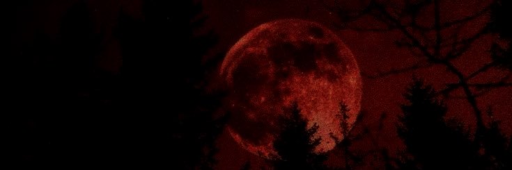 BlueShibaStudio's profile banner image