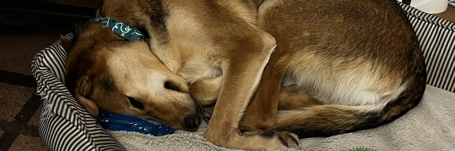 🇨🇦 Dimps of the North banner