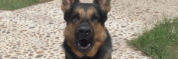 Alvaro_rsgr's profile banner image