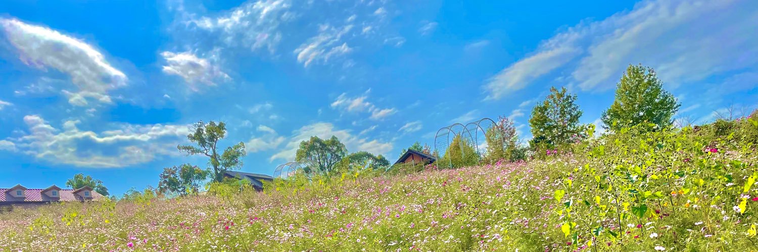 kkr_risa's profile banner image