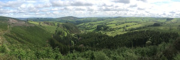 SilvicultureUK Profile Banner