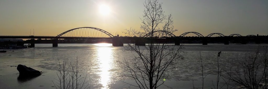 efonseca's profile banner image
