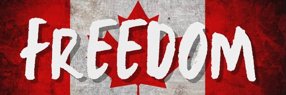 Pierre Poilievre’s Ego banner