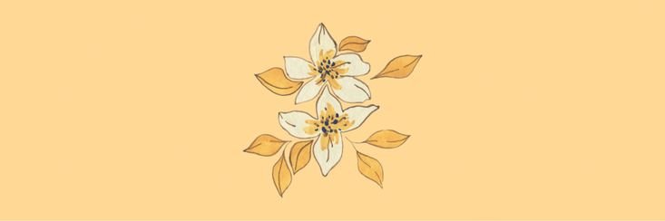 mar 🌿's banner