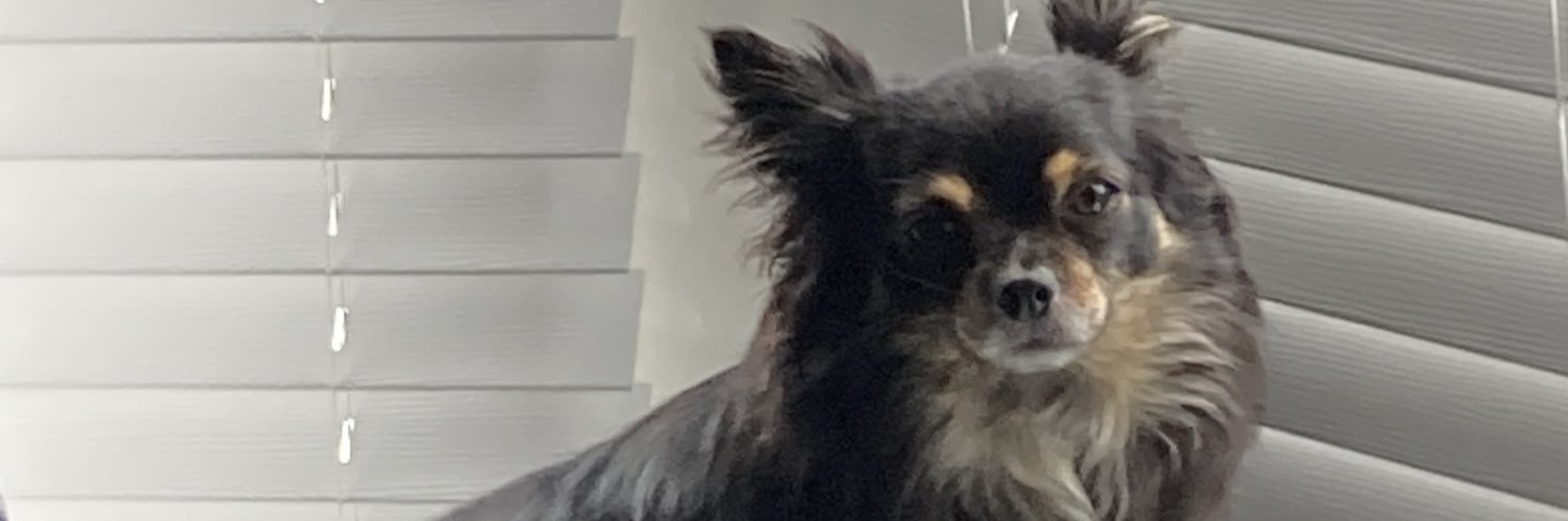 Lindsey is Feng Yuixang🏳️‍⚧️🇻🇦 banner