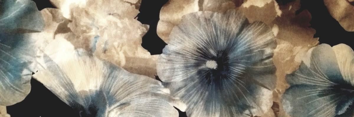 ۟ banner