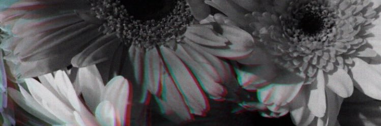 lamelicee's profile banner image