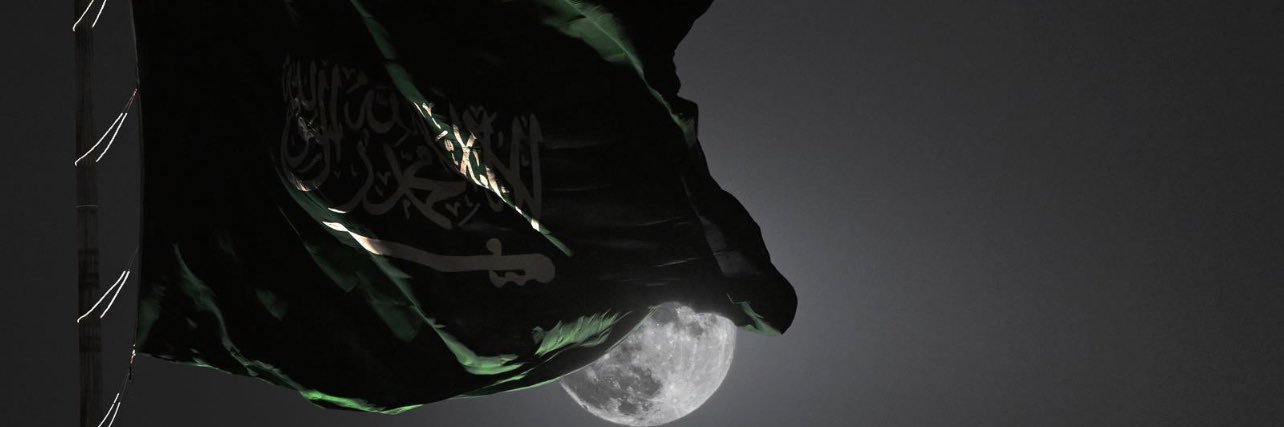 movipmo's profile banner image