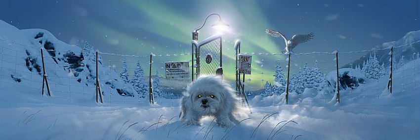 Salvador R. Ayala banner