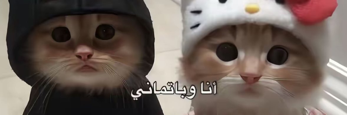 xlil44's profile banner image