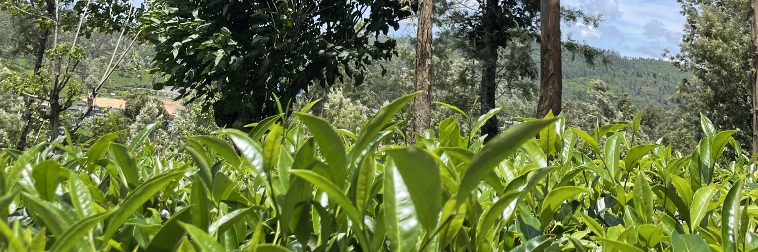 FUSHATHÉ banner