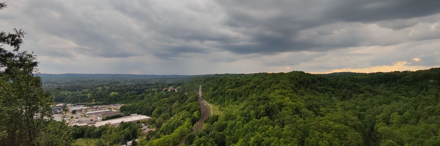 whispersofroses banner