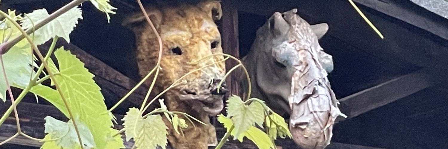 MBorgendale's profile banner image