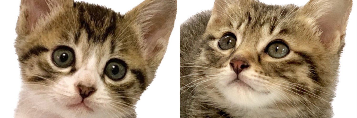 フリーアナウンサー　渡辺一宏 banner