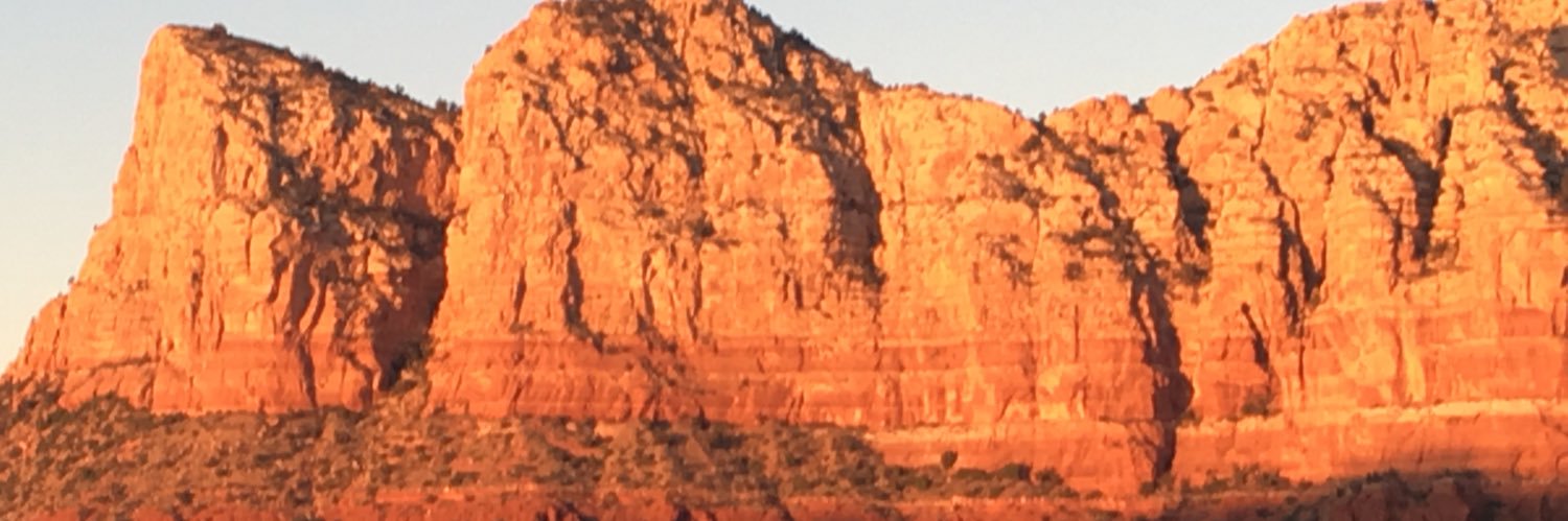 Sandydanut's profile banner image