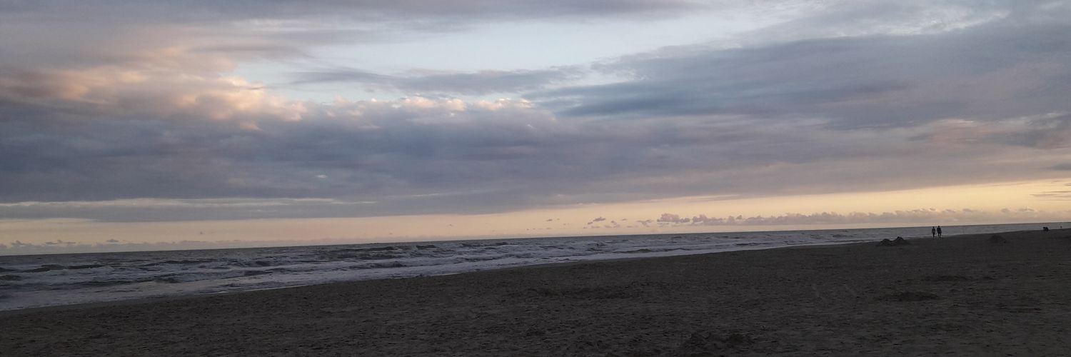 SgcShandy's profile banner image