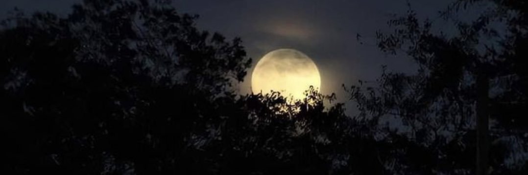 __eejj's profile banner image