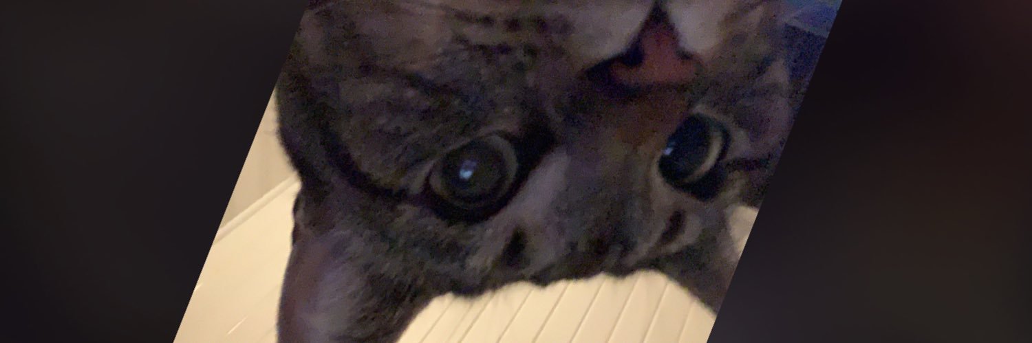 timerooo_'s profile banner image