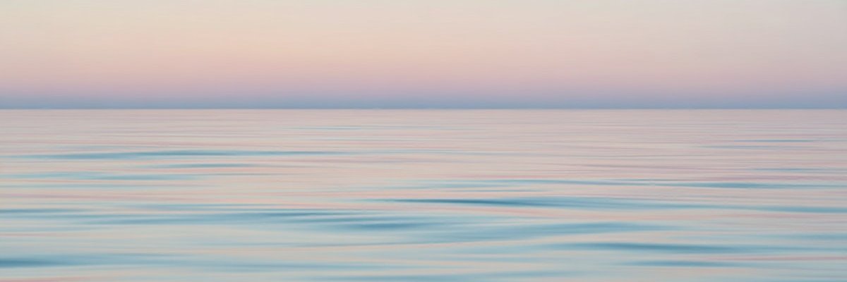 Javier Barcos banner