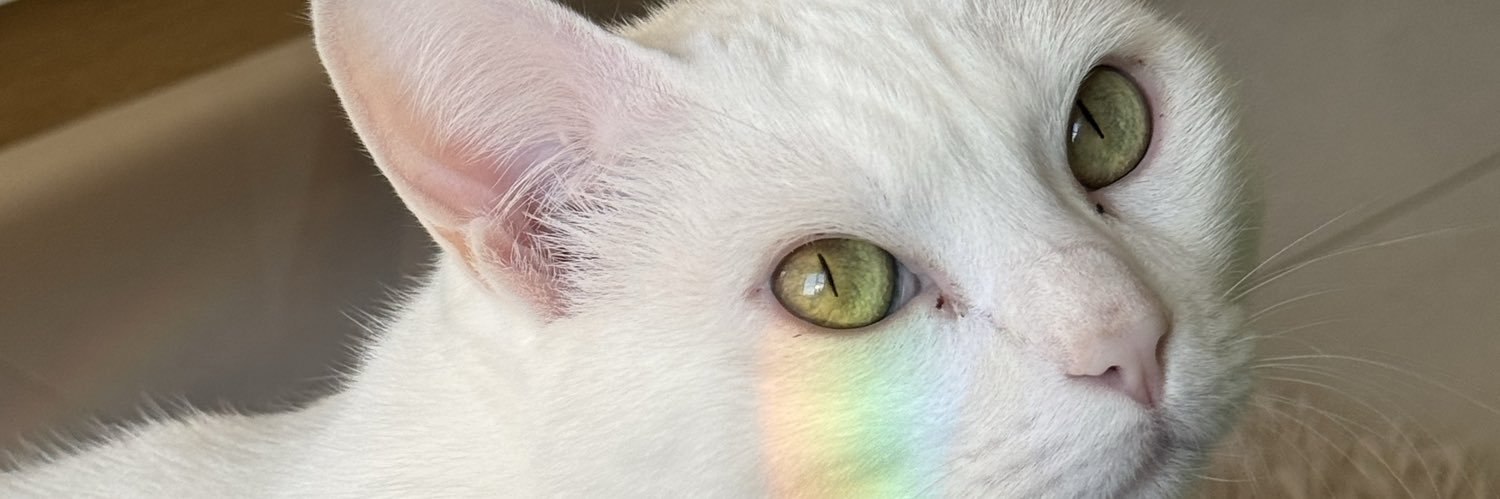 Barbimayy's profile banner image
